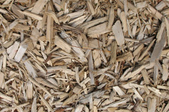 biomass boilers Minehead
